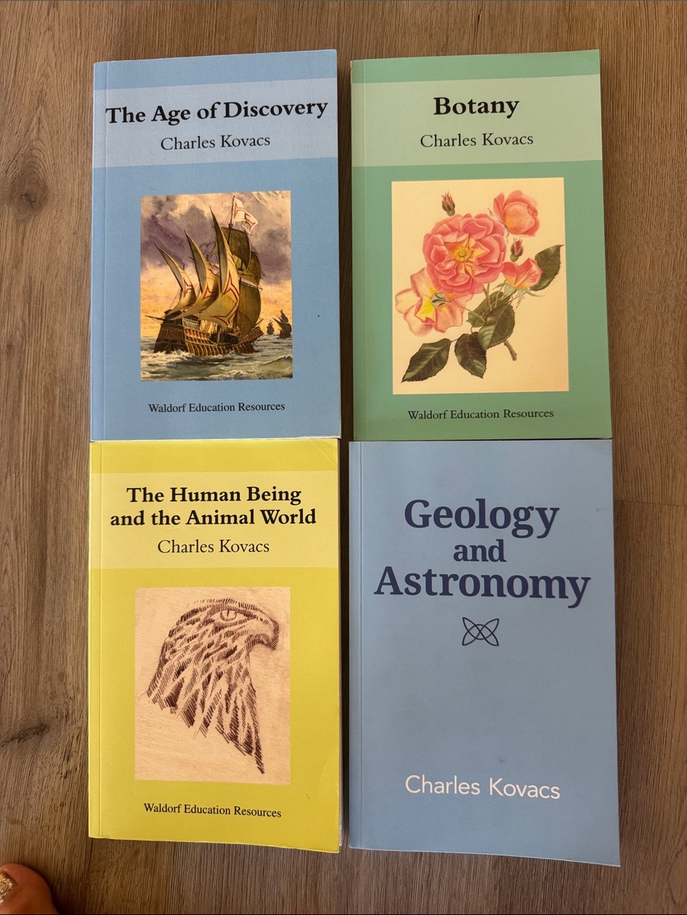 Charles Kovacs Home Accent Book Set in Blue, Green, Yellow